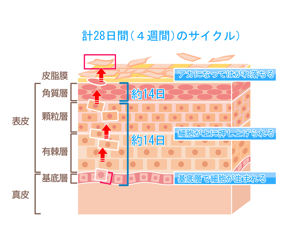 03リサイズ.jpg